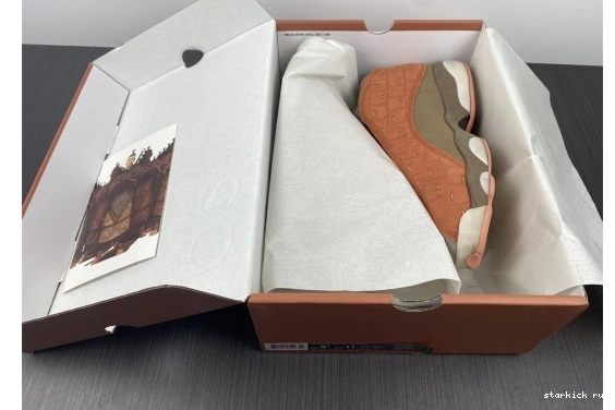 13 SEPIA X STONE JORDAN CANTEEN-TERRA AT3102-200 LOW AIR AT3102-200 CLOT BLUSH 0422